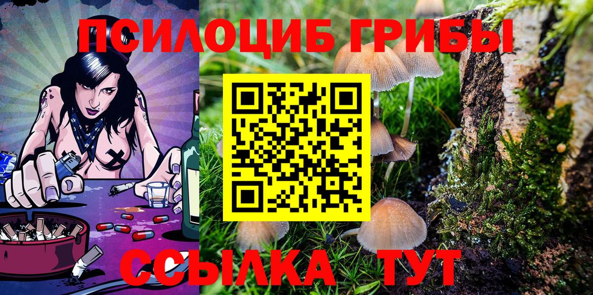 Галлюциногенные грибы Psilocybe  Вход с VPN  наркотики  Псилоцибиновые грибы Magic Shrooms  Карасук 