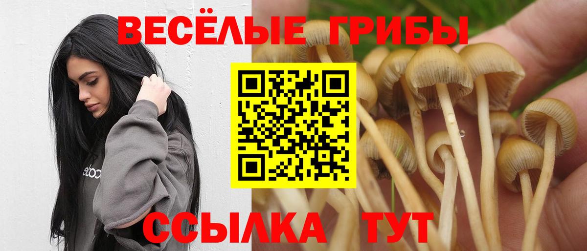 Псилоцибиновые грибы MAGIC MUSHROOMS Карасук